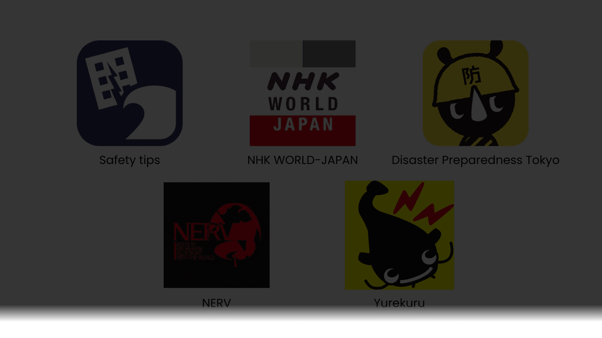 Disaster App Usability Evaluation